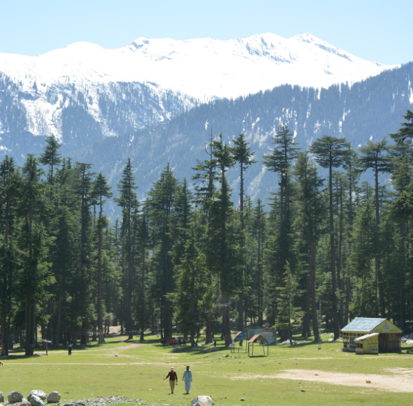 Kalam