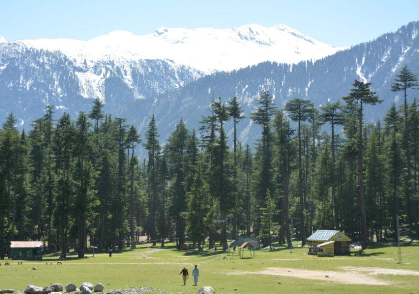 Kalam